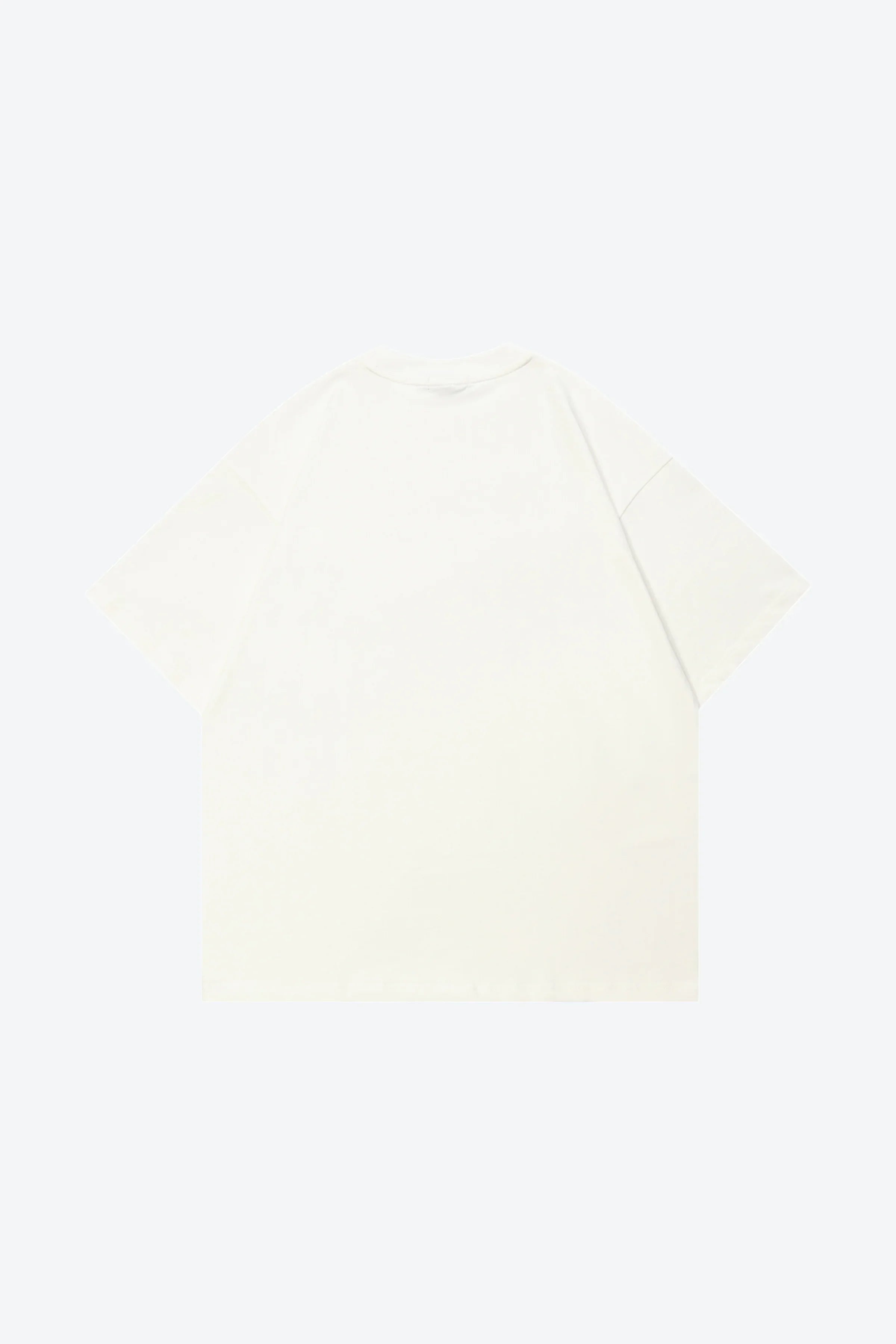 POLITICS - White